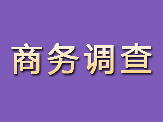 张家川商务调查